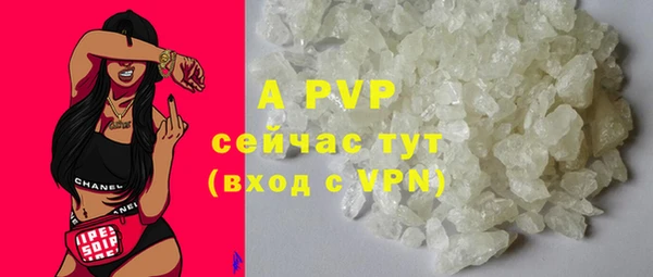 шишки Магадан