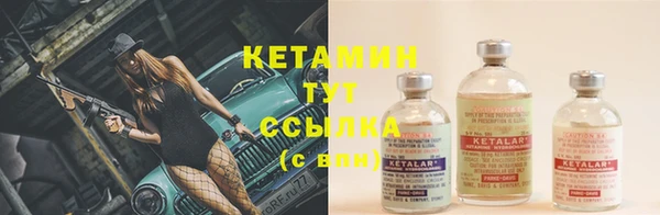 шишки Магадан