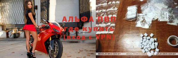 шишки Магадан