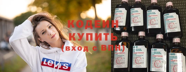 хмурый Фурманов